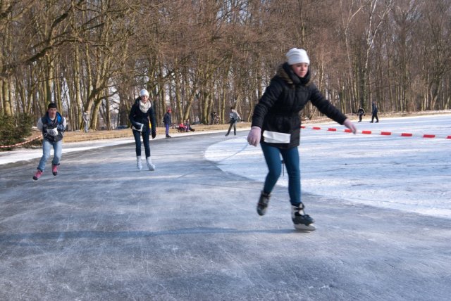 Schaatskampioenschap